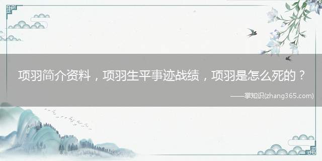 项羽简介资料,项羽生平事迹战绩,项羽是怎么死的?