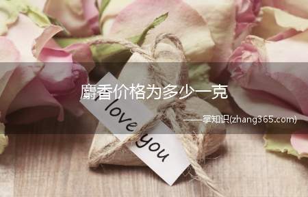 麝香价格为多少一克(2019年麝香鼠价格多少钱一只)