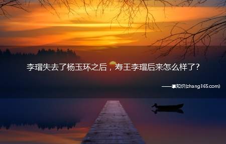 李瑁失去了杨玉环之后,寿王李瑁后来怎么样了?