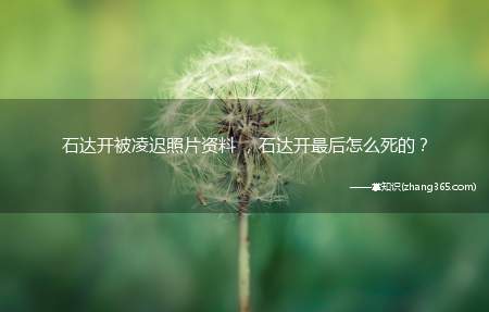 石达开被凌迟照片资料 ,石达开最后怎么死的?