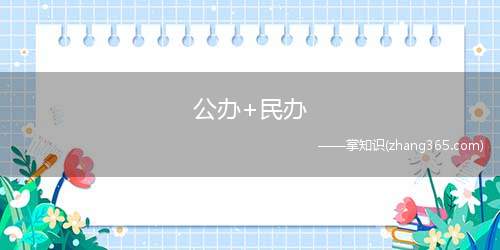 公办+民办(中山东区小学汇总)