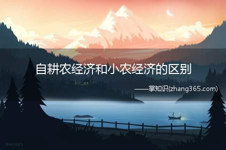 自耕农经济和小农经济的区别(自耕农和小农经济有什么区别)