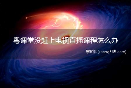 粤课堂没赶上电视直播课程怎么办(电视观看回放方式)