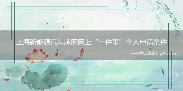 上海新能源汽车牌照网上“一件事”个人申请条件