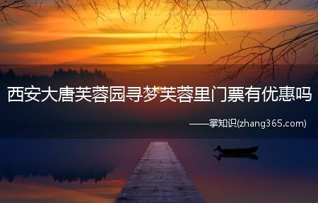 西安大唐芙蓉园寻梦芙蓉里门票有优惠吗