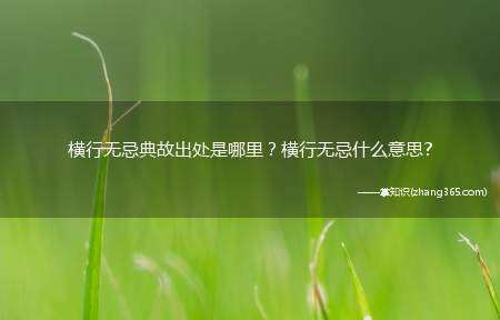 横行无忌典故出处是哪里?横行无忌什么意思?