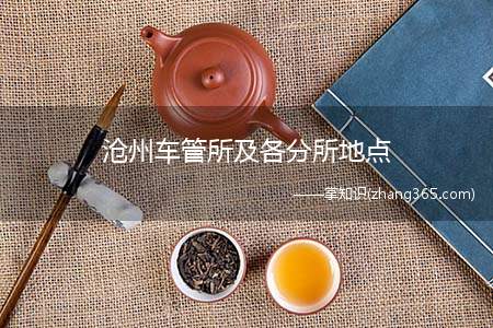沧州车管所及各分所地点(沧州车管所以及分所信息一览)