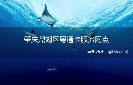 肇庆鼎湖区粤通卡服务网点(【肇庆油站】肇庆加油站价格|多少钱)