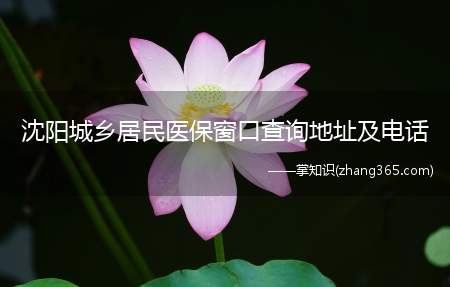 沈阳城乡居民医保窗口查询地址及电话