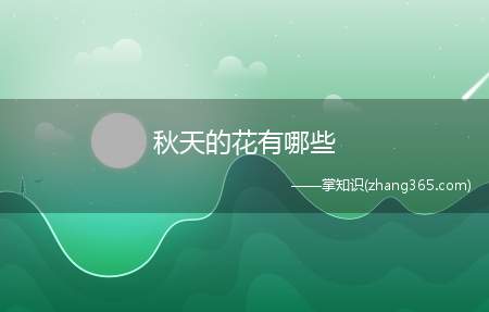 秋天的花有哪些(秋天有什么花)