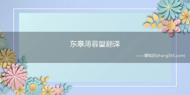东皋薄暮望翻译(东皋薄暮望徙倚欲何依赏析)