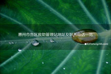 惠州市各区救助管理站地址及联系电话一览(广东省惠州市救助管理站)