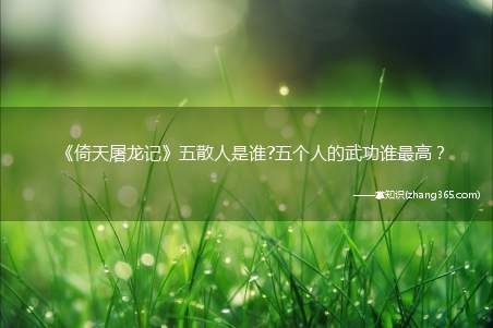 《倚天屠龙记》五散人是谁?五个人的武功谁最高?