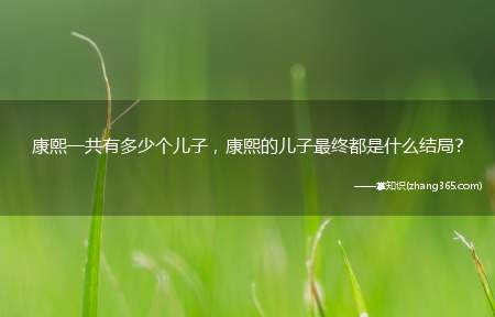 康熙一共有多少个儿子,康熙的儿子最终都是什么结局?