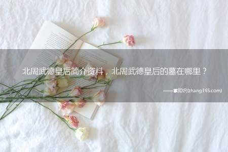 北周武德皇后简介资料，北周武德皇后的墓在哪里？