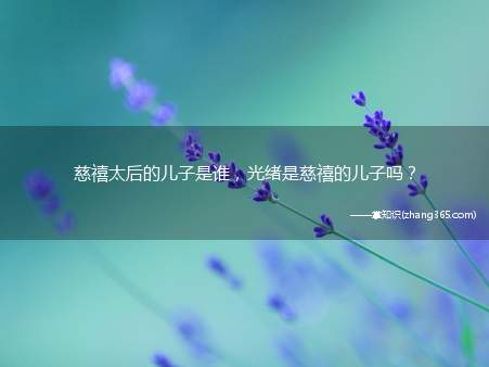 慈禧太后的儿子是谁,光绪是慈禧的儿子吗?