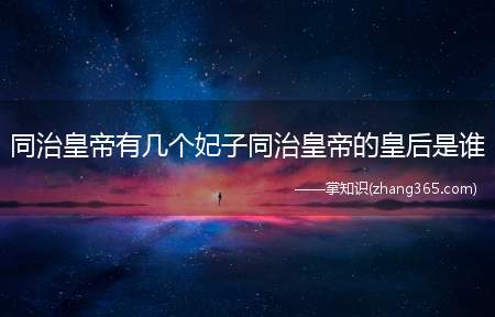 同治皇帝有几个妃子同治皇帝的皇后是谁(同治有几个老婆同治皇帝名叫爱新觉罗)