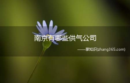 南京有哪些供气公司(南京港华燃气有限公司96882)