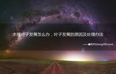 木槿叶子发黄怎么办,叶子发黄的原因及处理办法
