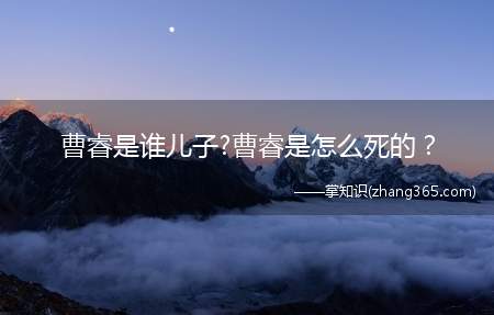 曹睿是谁儿子?曹睿是怎么死的?(曹睿是谁)