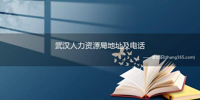 武汉人力资源局地址及电话(武汉人力资源服务机构名单)