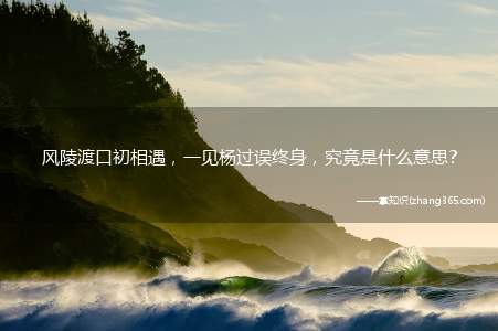 风陵渡口初相遇,一见杨过误终身,究竟是什么意思?
