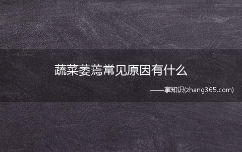 蔬菜萎蔫常见原因有什么(蔬菜枯萎病的防治方法)