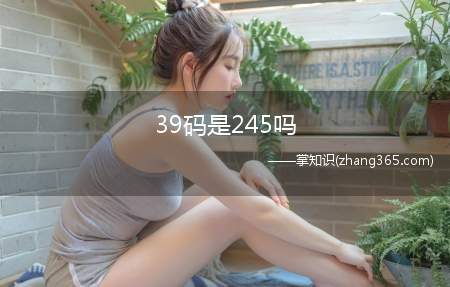 39码是245吗(39码是240还是245)