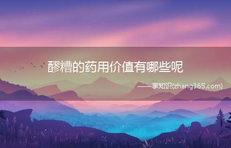 醪糟的药用价值有哪些呢(醪糟的药用价值有哪些)