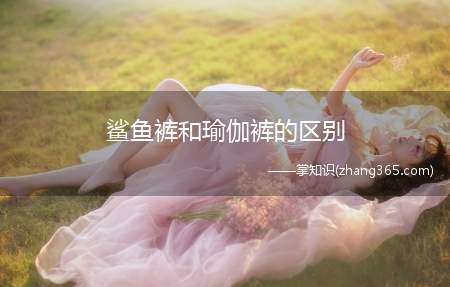 鲨鱼裤和瑜伽裤的区别(瑜伽裤的优缺点有哪些)
