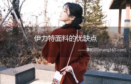 伊力特面料的优缺点(伊力特是什么面料)