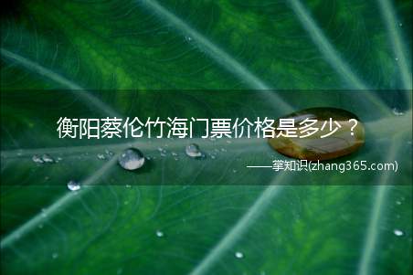 衡阳蔡伦竹海门票价格是多少？
