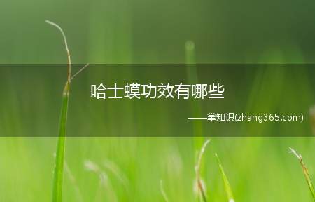 哈士蟆功效有哪些(如何使用哈士蟆来进行治疗)