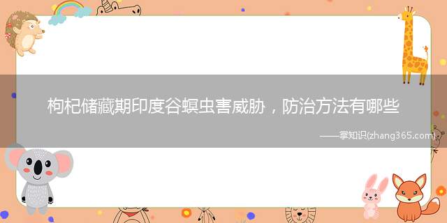 枸杞储藏期印度谷螟虫害威胁,防治方法有哪些