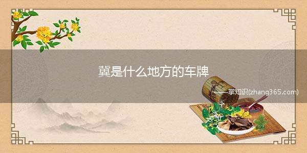 冀是什么地方的车牌(冀是哪里的车牌)