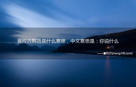 莫拉古韩语是什么意思,中文意思是:你说什么