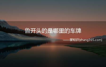 鲁开头的是哪里的车牌(鲁是哪里的车牌)