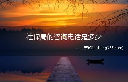 社保局的咨询电话是多少(湖南省人力资源和社会保障厅)