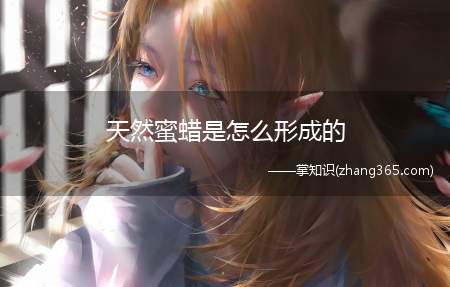 天然蜜蜡是怎么形成的(蜜蜡乃地质时代“始新世”时期)