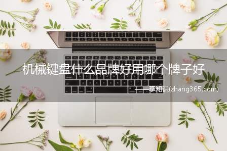 机械键盘什么品牌好用哪个牌子好(机械键盘的十大著名品牌)