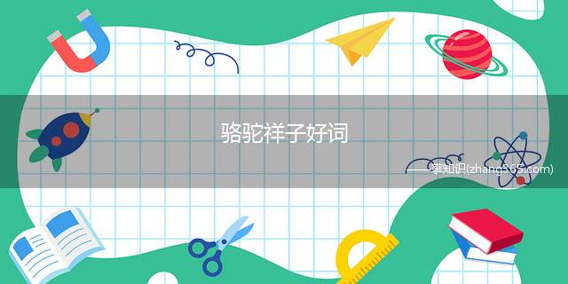 骆驼祥子好词(《骆驼祥子》的好词好句)