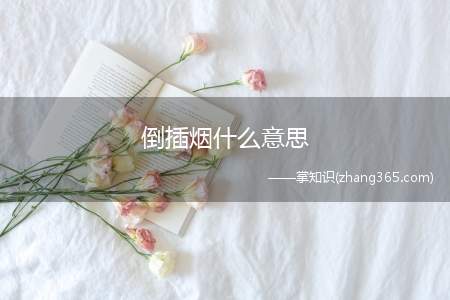 倒插烟什么意思(女的给男生倒插烟什么意思)