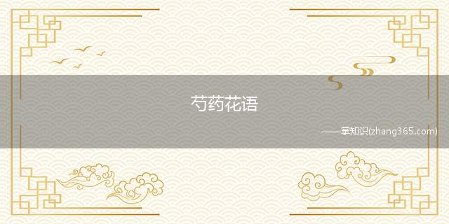 芍药花语(芍药的花语是美丽动人、依依不舍、难舍难分、真诚不变)