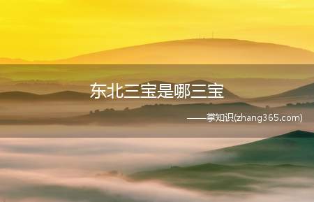 东北三宝是哪三宝(东北三宝是指什么)