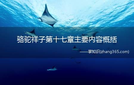 骆驼祥子第十七章主要内容概括(骆驼祥子第十七章主要内容)
