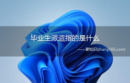 毕业生派遣指的是什么(毕业生派遣什么意思)