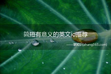 简短有意义的英文id推荐(简短有意义的英文id)