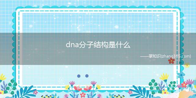 dna分子结构是什么(dna分子结构的发现是科学史上最具传奇性的“章节”之一)