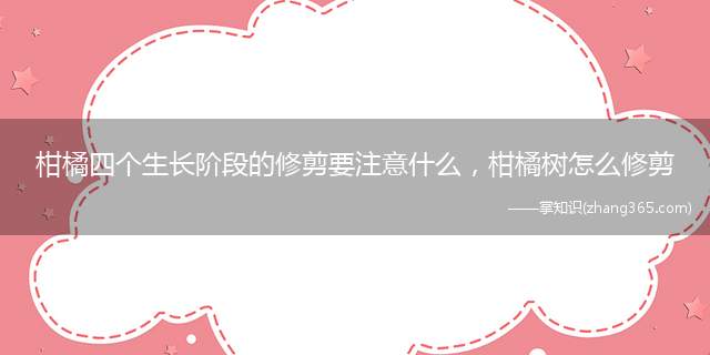柑橘四个生长阶段的修剪要注意什么,柑橘树怎么修剪