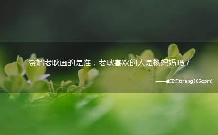赘婿老耿画的是谁,老耿喜欢的人是杨妈妈吗?